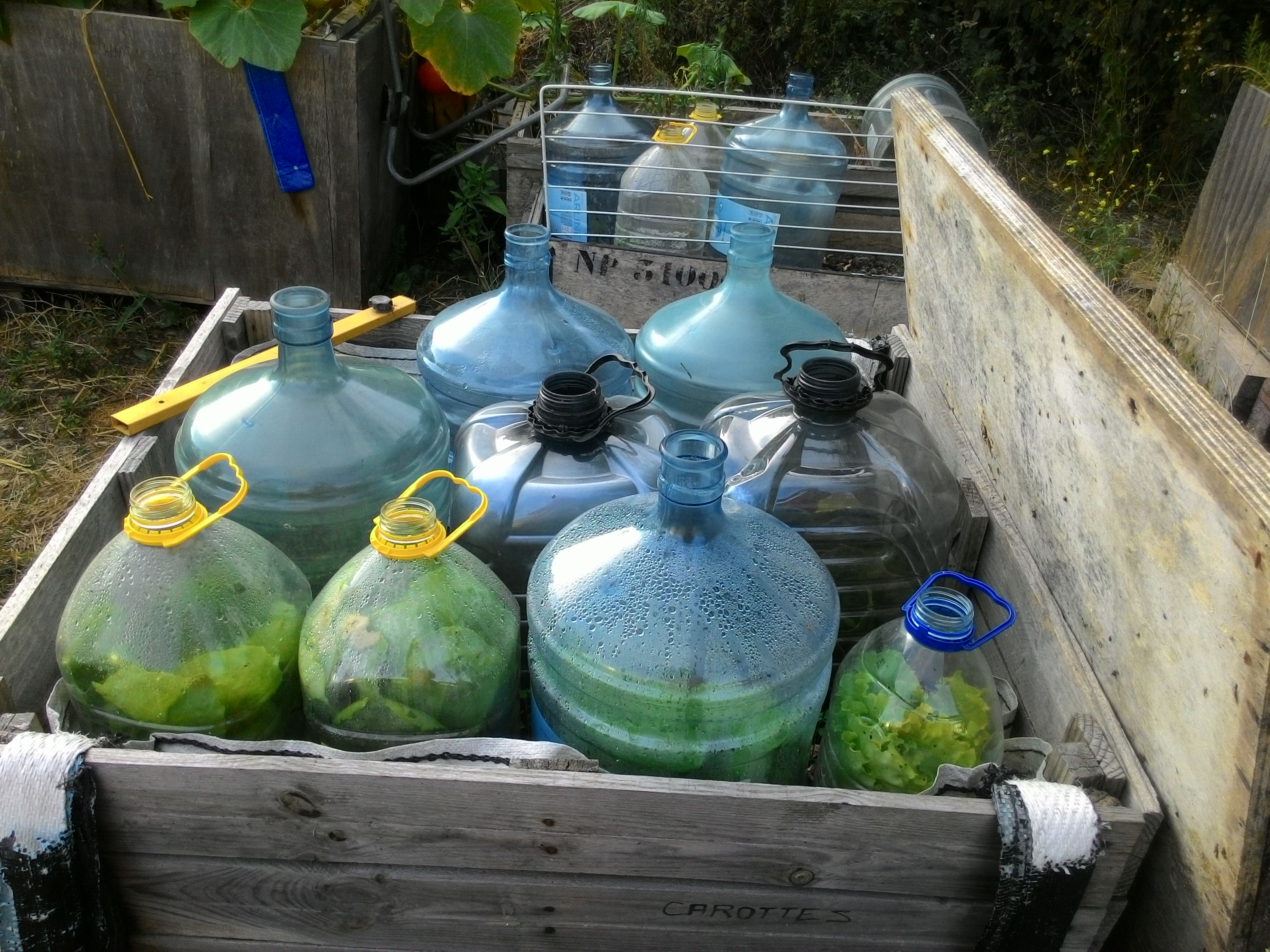 各種容器也都重複利用，成為植物的家。